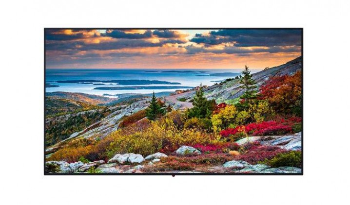 Profesionalni zaslon Panasonic 49CQE1